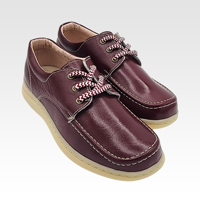 Colegial Diario Vinotinto